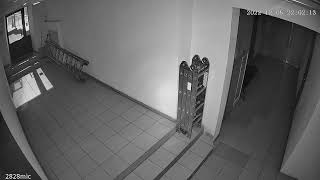2828 / 2829 ночь, ик подсветка