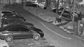 Ночь, патрулирование по двум точкам + ожидание автотрекинга
